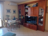 IMG-20250404-WA0095