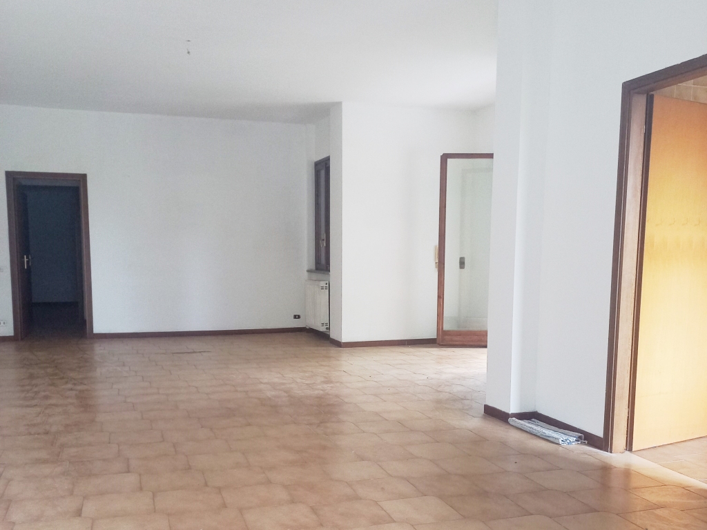 IMG_20240703_154503 IMG_20240703_154503